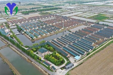 通辽市某养殖场